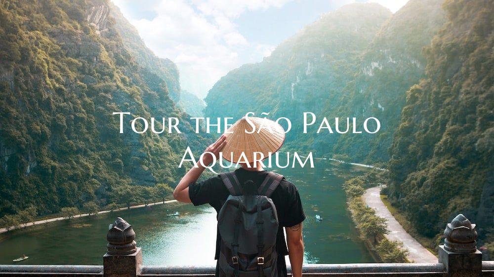 Tour the São Paulo Aquarium