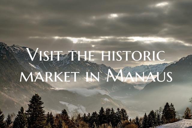 Visit the historic market in Manaus